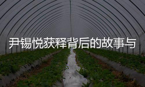尹錫悅獲釋背后的故事與探究，錯綜復(fù)雜的局面下的新發(fā)展動態(tài)