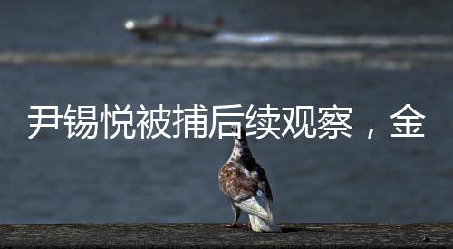 尹錫悅被捕后續(xù)觀察，金建希的神秘動(dòng)向，疑似尋常外出遛狗
