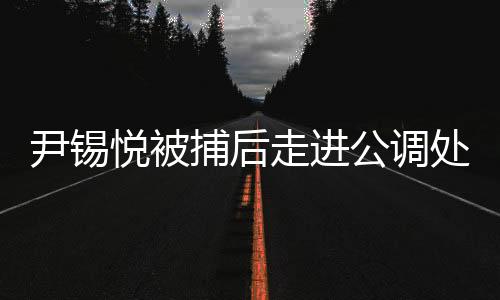 尹錫悅被捕后走進公調(diào)處畫面曝光，事件深度解析