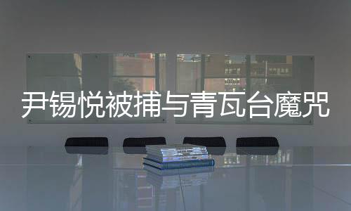 尹錫悅被捕與青瓦臺(tái)魔咒揭秘，多維度視角解析