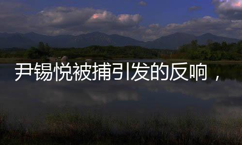 尹錫悅被捕引發(fā)的反響，百態(tài)眾生，情感交織