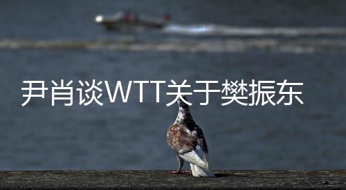 尹肖談WTT關(guān)于樊振東事件的言論，顛倒黑白引爭(zhēng)議