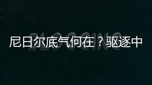 尼日爾底氣何在？驅逐中石油高管事件深度解析