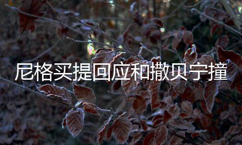 尼格買提回應(yīng)和撒貝寧撞臉結(jié)界獸事件