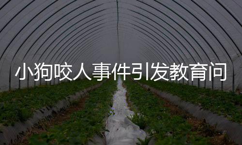 小狗咬人事件引發(fā)教育問(wèn)題，爺爺采取特殊方式教育小狗