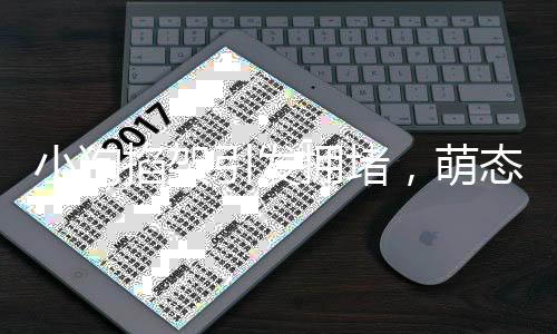小狗掐架引發(fā)擁堵，萌態(tài)可掬無人勸解——城市新景象