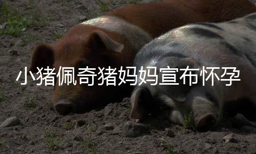 小豬佩奇豬媽媽宣布懷孕三胎，家庭迎來新成員