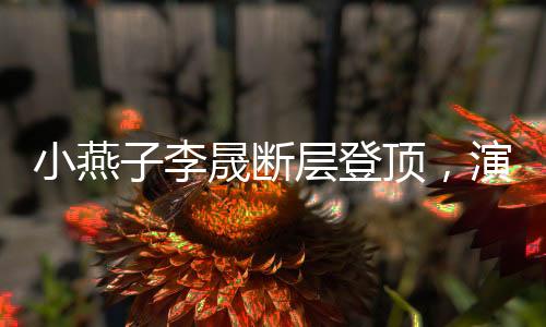 小燕子李晟斷層登頂，演藝巔峰之路