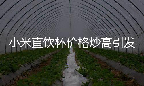 小米直飲杯價格炒高引發(fā)關(guān)注，市場現(xiàn)象背后的探究