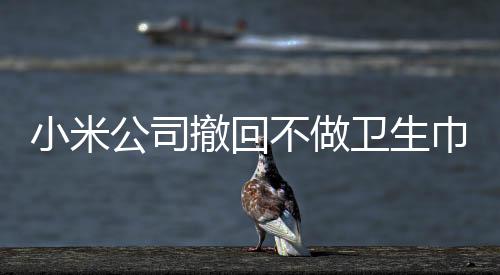 小米公司撤回不做衛(wèi)生巾聲明，引發(fā)業(yè)界關(guān)注