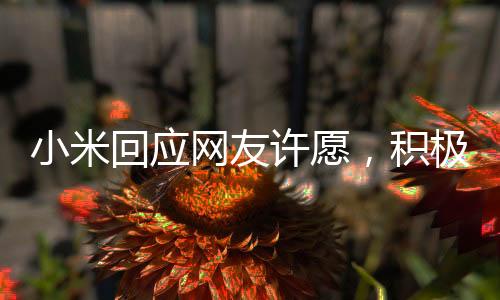 小米回應(yīng)網(wǎng)友許愿，積極聆聽(tīng)用戶(hù)需求，共創(chuàng)美好未來(lái)