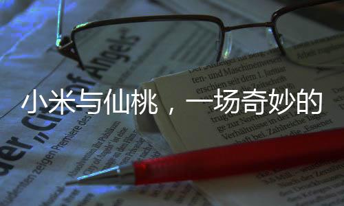 小米與仙桃，一場(chǎng)奇妙的倒字之旅