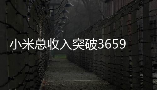 小米總收入突破3659億，去年業(yè)務(wù)大盤點(diǎn)
