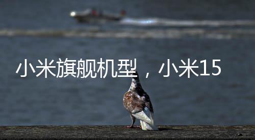 小米旗艦機(jī)型，小米15 Ultra首發(fā)售價(jià)公布，起售價(jià)僅需6499元