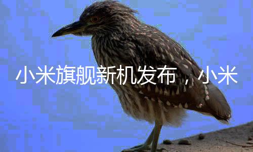 小米旗艦新機(jī)發(fā)布，小米15Ultra雙拼色，革新傳統(tǒng)設(shè)計(jì)理念的新視覺盛宴