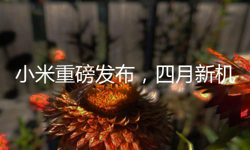小米重磅發(fā)布，四月新機(jī)型，親民價(jià)格，實(shí)現(xiàn)用戶買得起的夢想