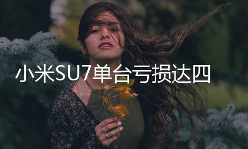 小米SU7單臺虧損達(dá)四萬五千元，深入解讀背后的原因與應(yīng)對策略