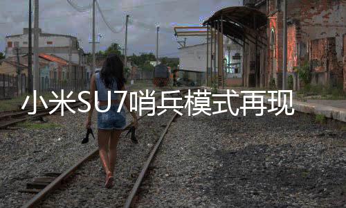 小米SU7哨兵模式再現(xiàn)神奇功能，還原案發(fā)車周監(jiān)控詳解