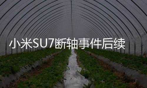 小米SU7斷軸事件后續(xù)，車主承認(rèn)欺瞞網(wǎng)友，引發(fā)深度反思