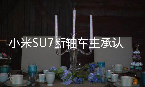 小米SU7斷軸車主承認欺瞞網(wǎng)友事件調(diào)查與反思
