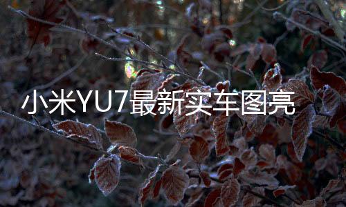 小米YU7最新實(shí)車圖亮相，引領(lǐng)智能電動(dòng)車新時(shí)代