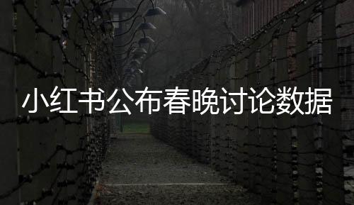 小紅書公布春晚討論數(shù)據(jù)，億萬網(wǎng)友熱議文化盛宴，點燃節(jié)日氛圍新熱點