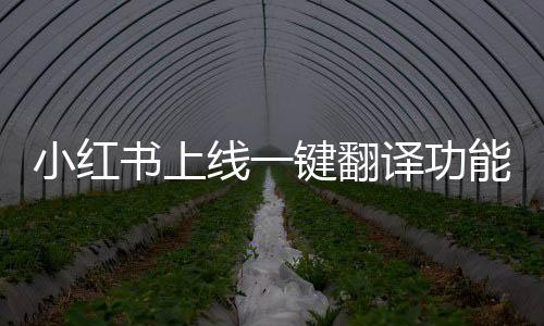 小紅書(shū)上線一鍵翻譯功能，全球化時(shí)代的新助力