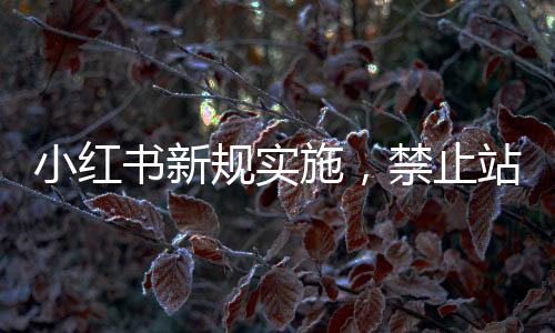 小紅書新規(guī)實施，禁止站外導流，重塑平臺生態(tài)