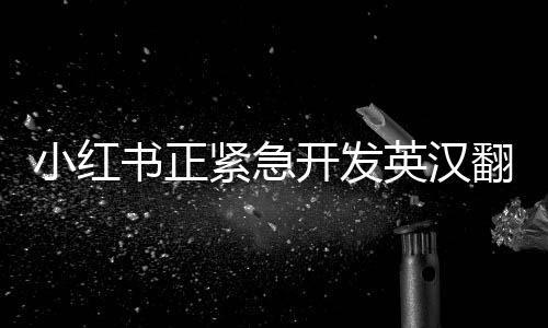 小紅書正緊急開發(fā)英漢翻譯功能，邁向國際化的重要一步