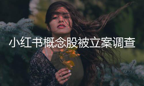 小紅書概念股被立案調(diào)查，市場關(guān)注熱議
