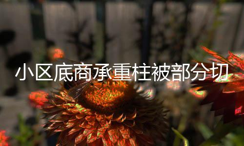 小區(qū)底商承重柱被部分切割 官方回應(yīng)