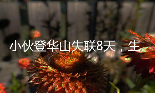 小伙登華山失聯(lián)8天，生死未卜，搜救行動(dòng)緊張展開