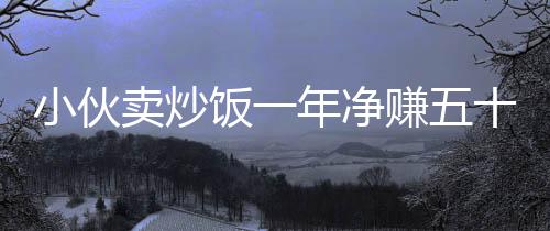 小伙賣炒飯一年凈賺五十萬，一份關(guān)于堅持與創(chuàng)新的勵志故事