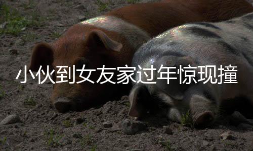 小伙到女友家過年驚現(xiàn)撞臉丈母娘，家庭歡樂溫馨卻藏神秘緣分揭秘