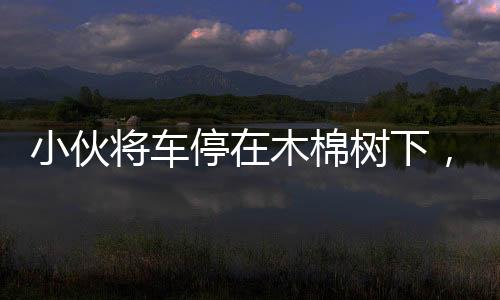 小伙將車停在木棉樹下，結(jié)果悲劇了