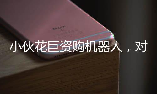 小伙花巨資購(gòu)機(jī)器人，對(duì)外租賃收入可觀