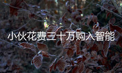 小伙花費三十萬購入智能機器人，對外租賃日收入高達八千！創(chuàng)新業(yè)務(wù)模式引領(lǐng)科技潮流新風(fēng)向