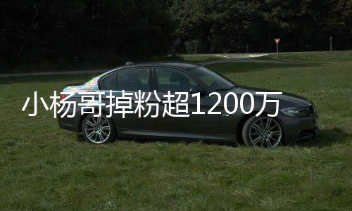 小楊哥掉粉超1200萬，探究背后的原因與挑戰(zhàn)