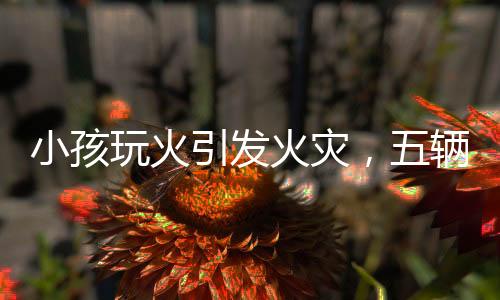 小孩玩火引發(fā)火災(zāi)，五輛車(chē)被燒成空殼