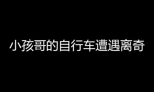小孩哥的自行車遭遇離奇事件，獅子將其騎走，背后真相待揭曉
