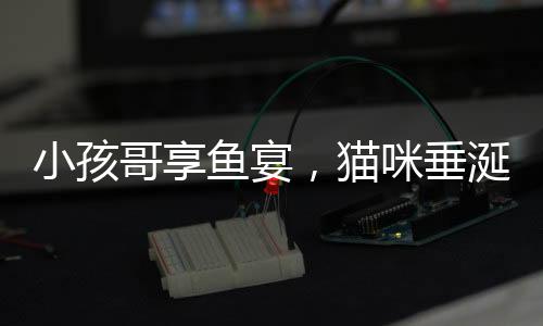 小孩哥享魚宴，貓咪垂涎欲哭