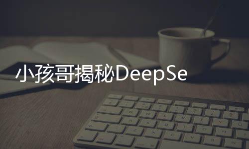 小孩哥揭秘DeepSeek三步法學數學的奧秘