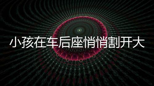 小孩在車后座悄悄割開大人羽絨服，引發(fā)社會(huì)關(guān)注與深思