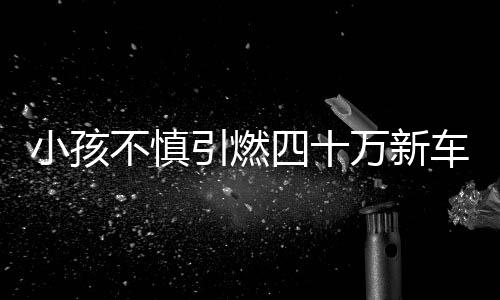小孩不慎引燃四十萬(wàn)新車，車主淡然又訂購(gòu)一輛新座駕——究竟是怎樣的氣度和心態(tài)？
