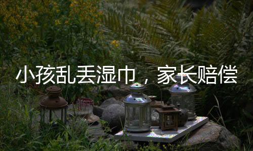 小孩亂丟濕巾，家長(zhǎng)賠償七千元事件引發(fā)社會(huì)關(guān)注