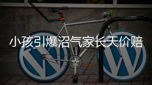 小孩引爆沼氣家長(zhǎng)天價(jià)賠償傳聞實(shí)為謠言，揭開(kāi)真相，呼吁理智應(yīng)對(duì)