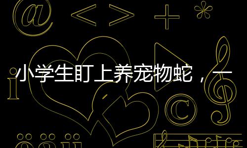 小學生盯上養(yǎng)寵物蛇，一種新興寵物熱潮下的關注與警示