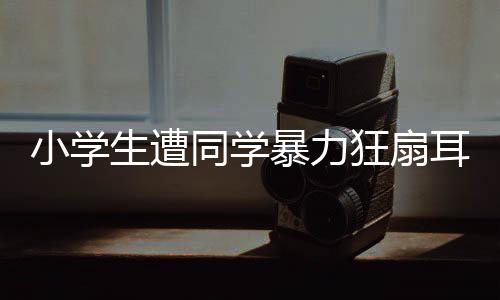 小學(xué)生遭同學(xué)暴力狂扇耳光，右耳失聰——校園安全問題亟待關(guān)注