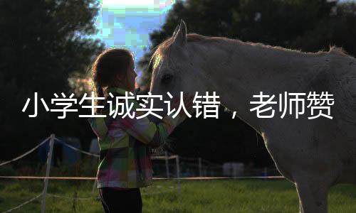 小學(xué)生誠實認(rèn)錯，老師贊揚其品質(zhì)——一次教育中的正向激勵故事