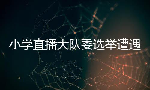 小學(xué)直播大隊委選舉遭遇官腔吐槽，探討民主選舉的真諦與改進之道